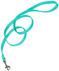 COASTAL Nylon Lead 6' x 5/8in Teal